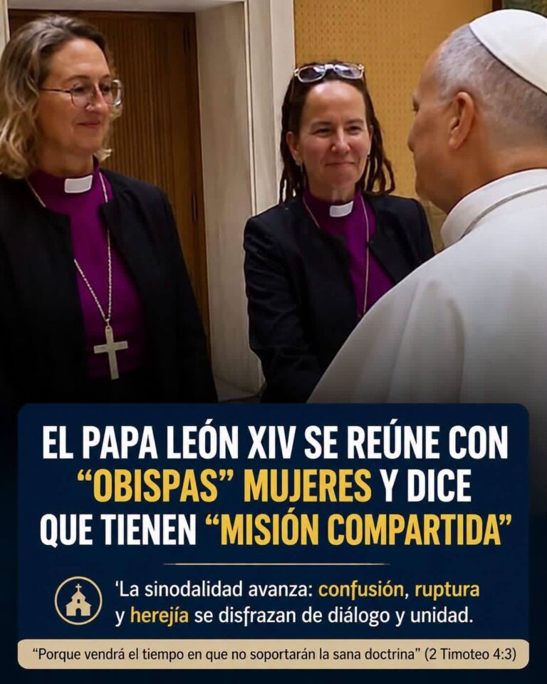 Continúan los intentos de demolición de la Iglesia. «La sinodalidad insiste: quiere la ordenación de mujeres…